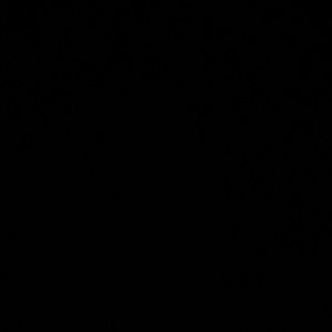 Meet your Posher, aimani